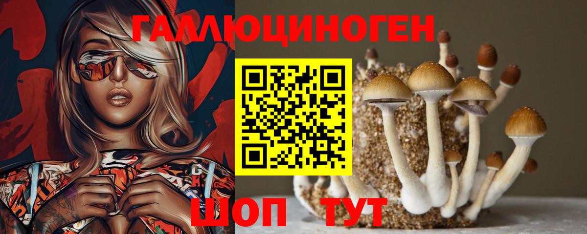Псилоцибиновые грибы мухоморы Старая Купавна
